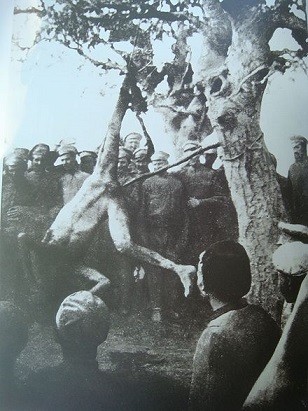 4b.jpg