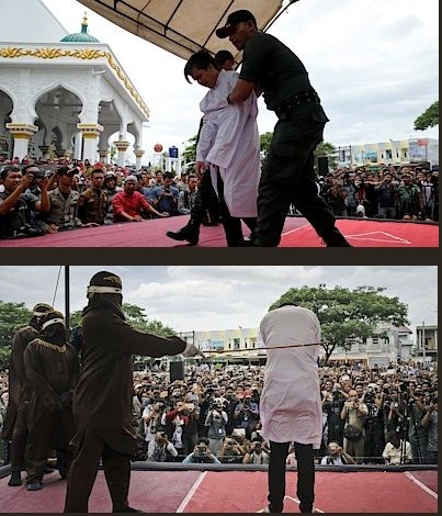 mrskani-gayu-v-indonesii.jpg