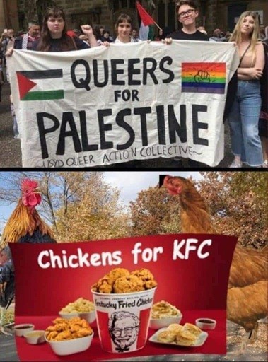 24a.jpg