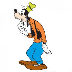 goofy.jpg